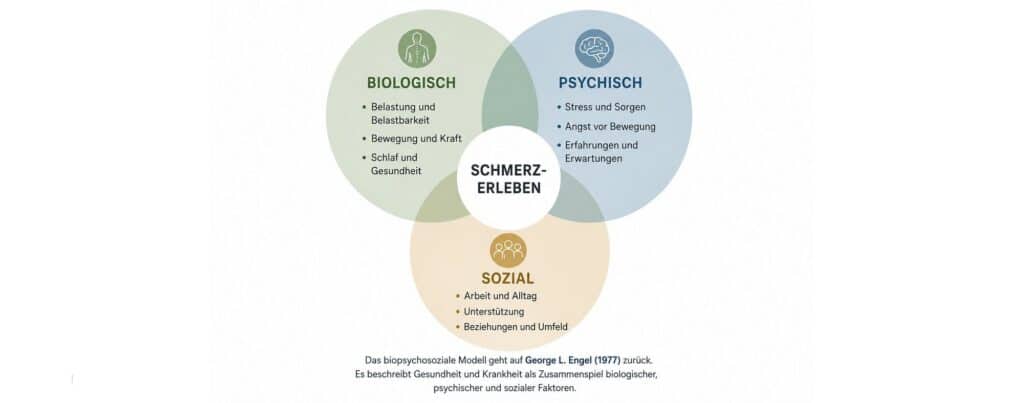 Grafik Biopsychosoziales Modell nach George L. Engel